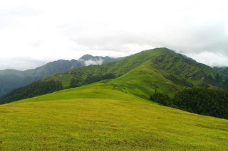 Rohini Bugyal