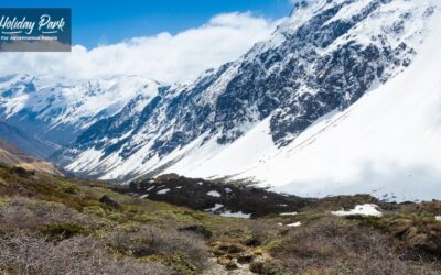 Best Time to Visit Chopta: Season-Wise Guide for a Perfect Trip
